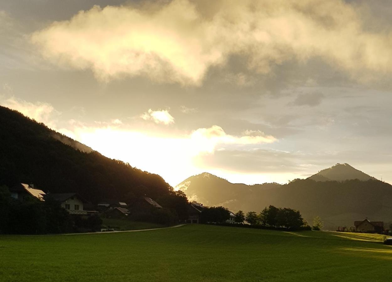 Hof Zur Steinwaend Bed & Breakfast Micheldorf in Oberosterreich Exterior photo